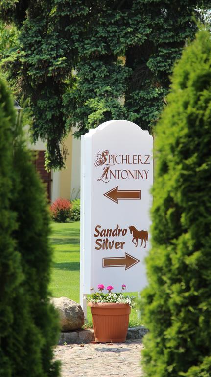 Hotel Sandro Silver & Spichlerz Antoniny レシュノ エクステリア 写真